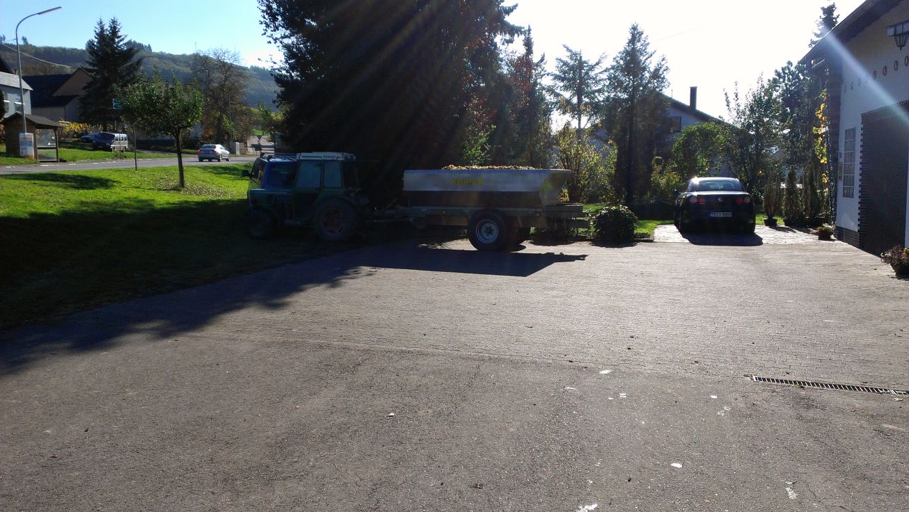 Arbeit im Weinberg an der Saar