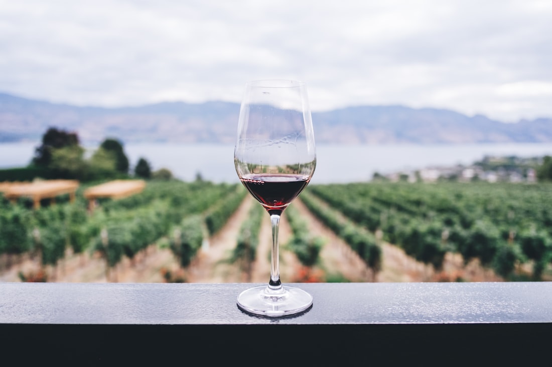 Riesling im Glas vor den Weinbergen